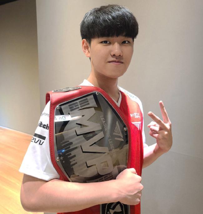 的观赏性和 的观赏性和