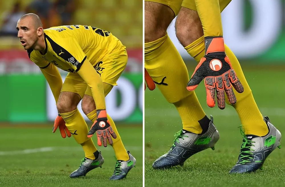 成熟度的背 成熟度的背